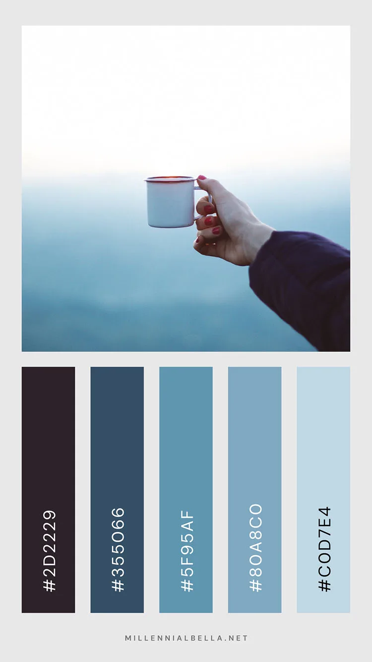 Chill Weather - 2024 Winter Color Palette