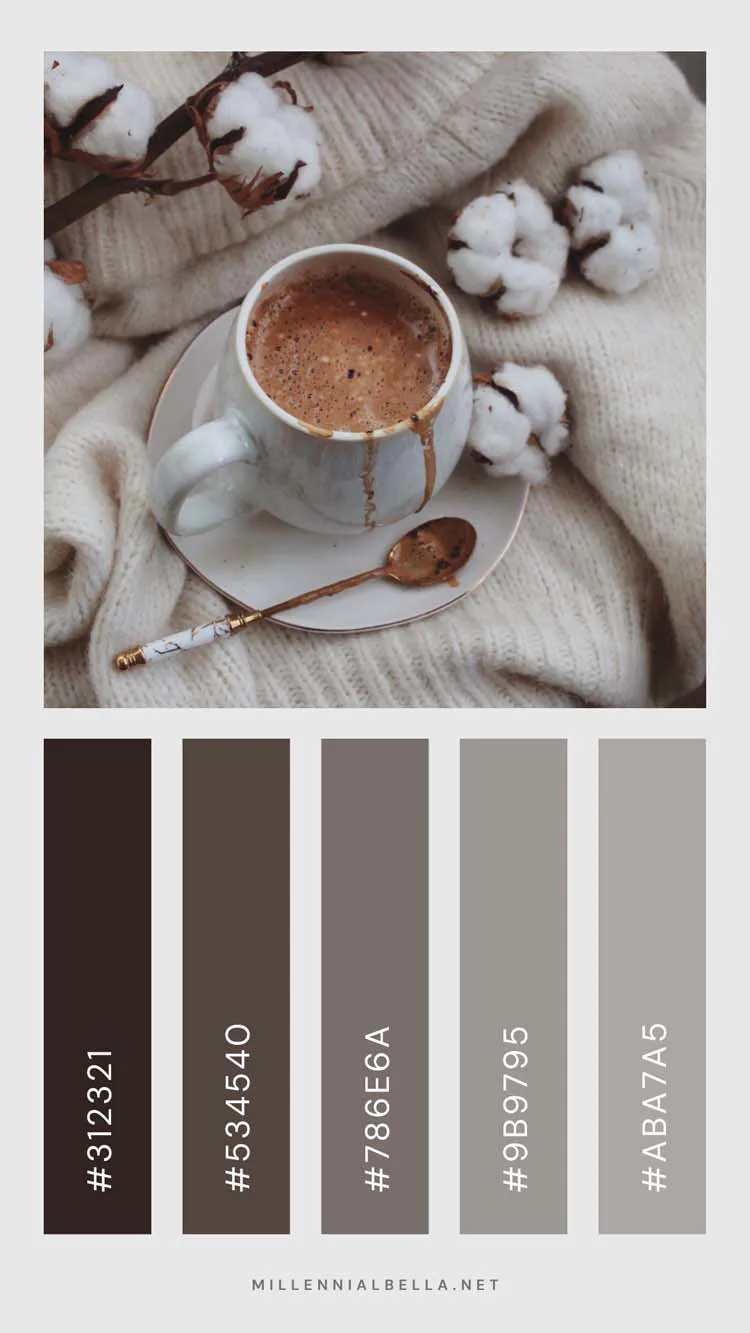 Hot Cocoa Kind of Day - 2024 Winter Color Palette